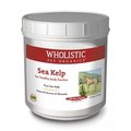 Wholistic Pet Organics Wholistic Pet Organics ESTWP30 18 lbs Equine Sea Kelp for Healthy Body Function ESTWP30